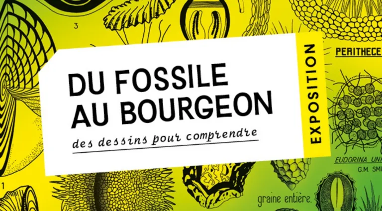Les expositions au BIOME pour les Journées européennes du patrimoine