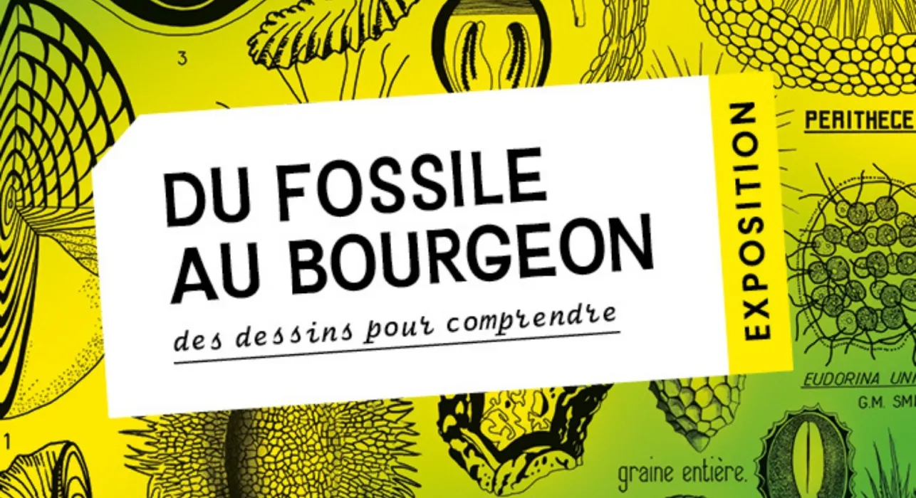 Les expositions au BIOME pour les Journées européennes du patrimoine