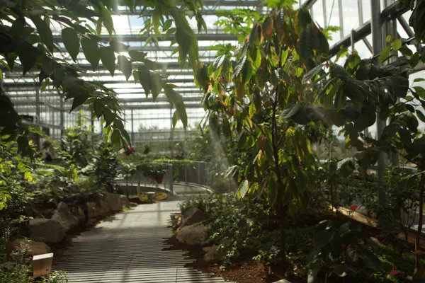 BIOME