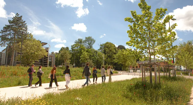 Eleves marchant vers l'université